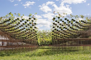 Kokedama Forest Installation: the Poetic Relationship of Nature and Art