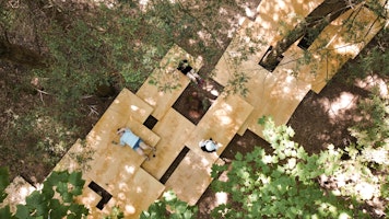 Arrangement of Plywood Boards in Peak A Boo Installation