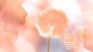 Enriching the 2024 era with the heartful Pantone Peach Fuzz